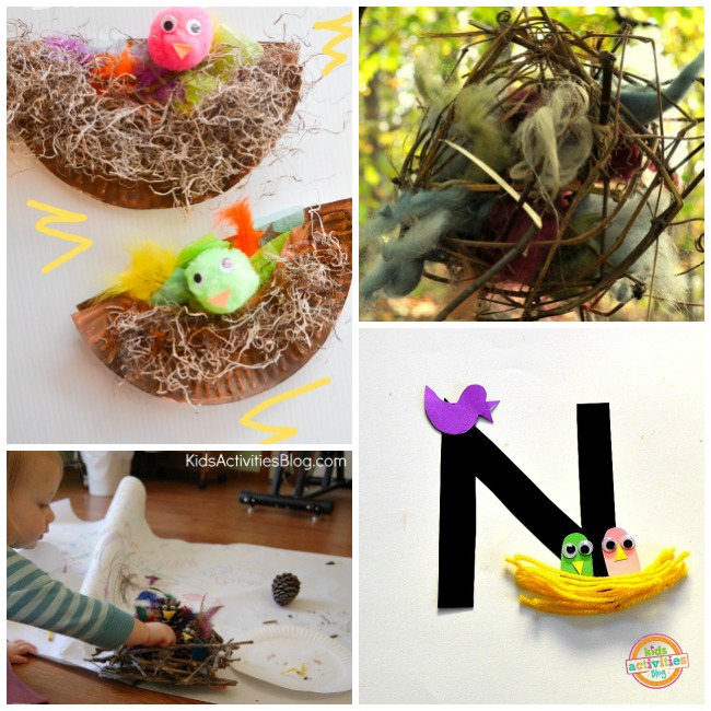 Letter N Activities Nest- bird nest made from paper plate, crinkle paper, and pom pom birds and feathers, nest made with sticks and fuzz, tree stick nest, letter N with a yard bird nest.