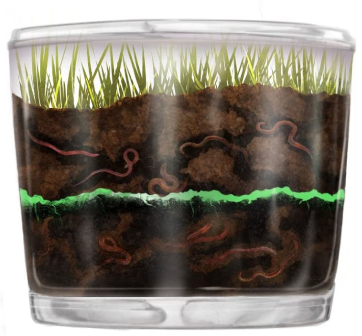 Worm Farm Observation Science Kit from Amazon