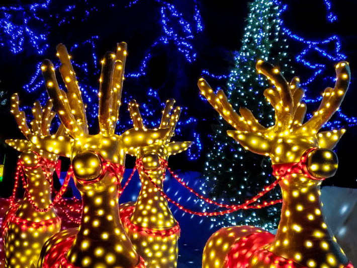 Holiday light search printable from Kids Activities Blog - lit reindeer shown with red harnesses.