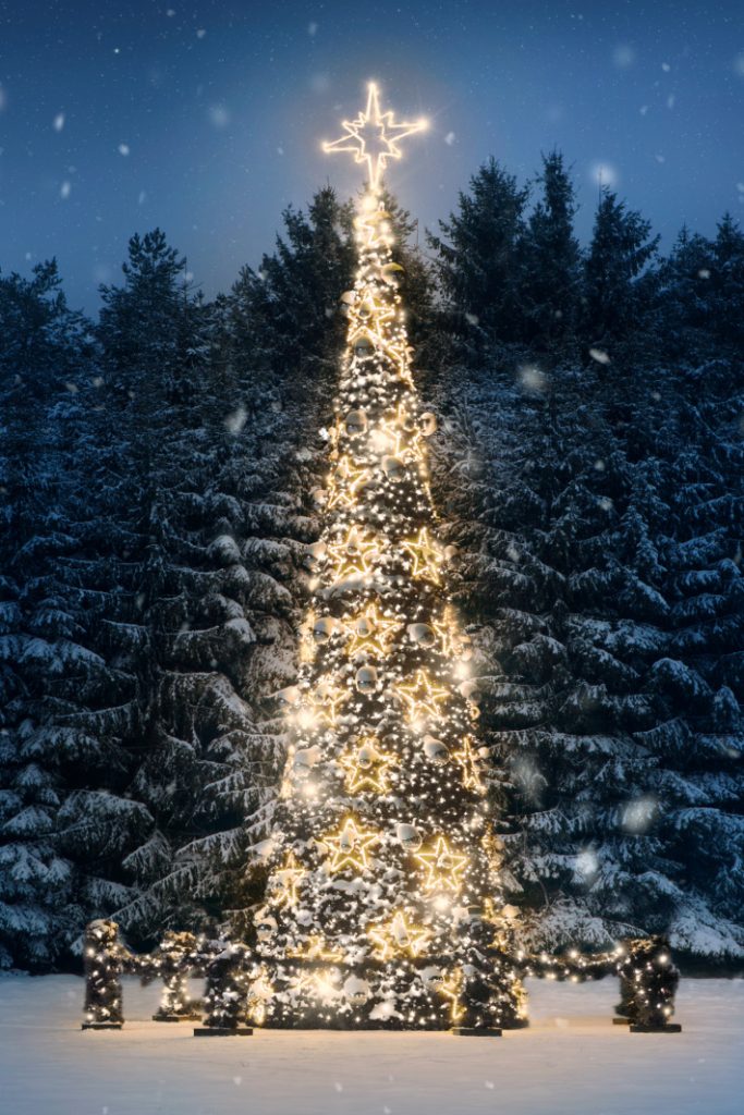 Go on a Christmas game scavenger hunt for lights with your family this year - pictured is a beautifully lit Christmas tree with stars