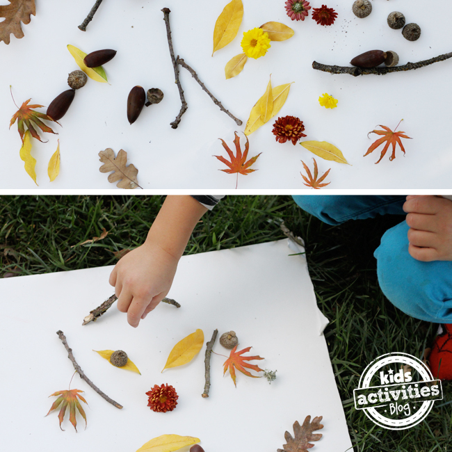 drawing with nature - outside fall art for kids using found nature objects like sticks leaves flowers acorns and more
