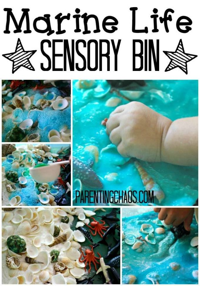Marine Life Sensory Bin- A Bubbly Small World!