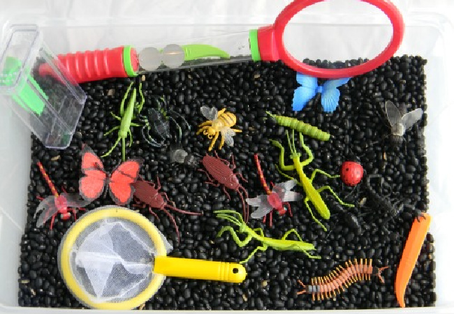 Plastic bin full of black beans, various plastic insects, a magnifying glass, and a plastic net.