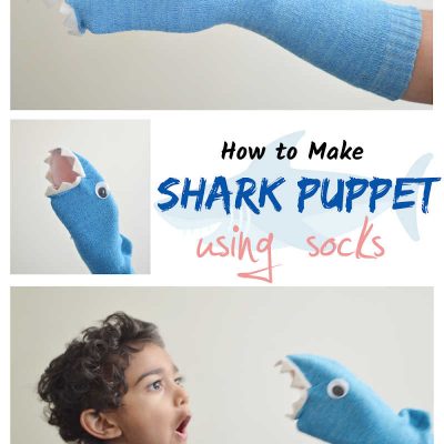 DIY sock puppet shark