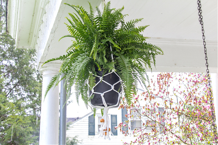 A potted fern being hung on a porch by a macrame plant holder.