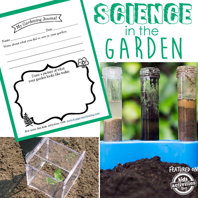 Garden science is a great way to ensure your child get an environmental education using stuff like soil testing and building your own greenhouse. 