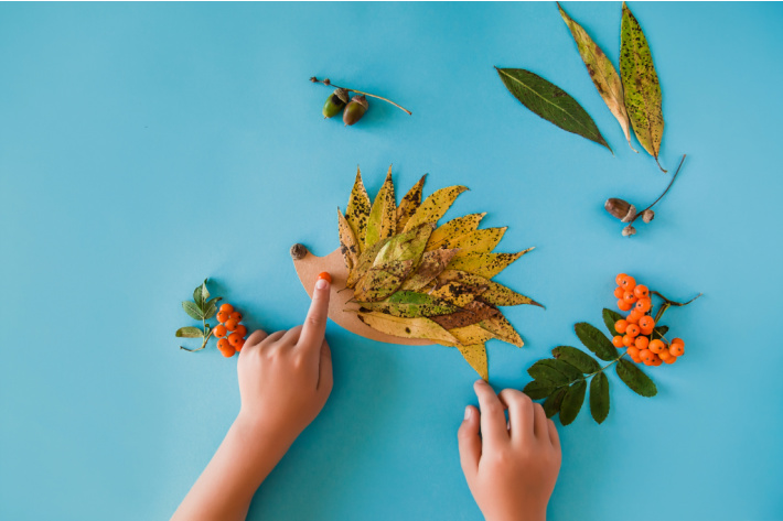 Making a collage or art picture from found nature items like leaves, berries, acorns and sticks