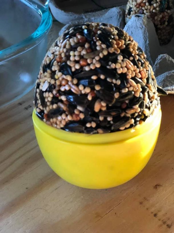 earth day projects for middle schoolers like making bird seed feeders out of plastic eggs