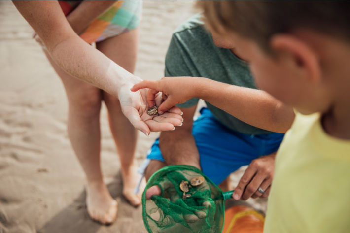Recreating ocean senses with sensory bin at home - Kids Activities Blog - kids on beach collecting shells