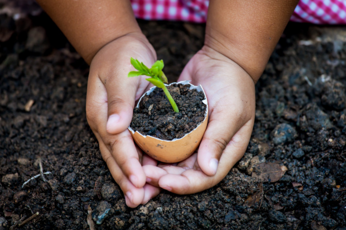 Plant a seed with your kids on Earth Day - Kids Activities Blog