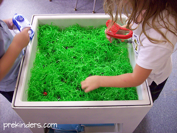 Pre Kinders grass bug sensory table for kids