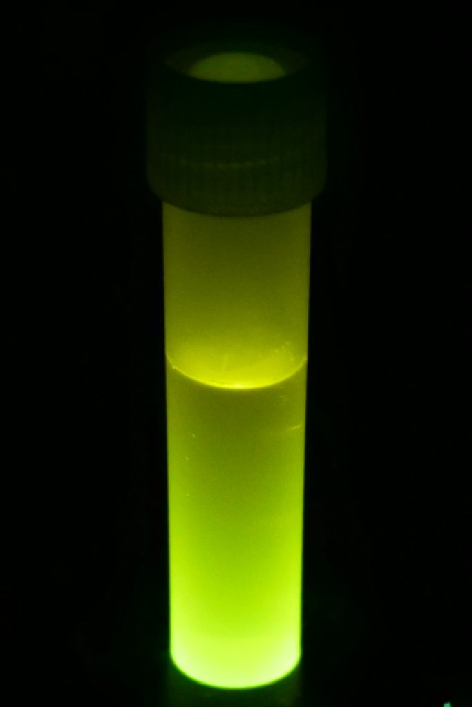 Make your own glow stick at home - Kids Activities Blog