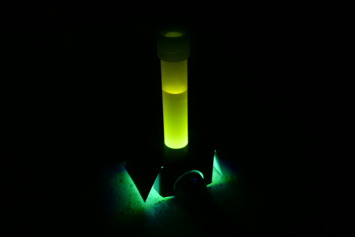 Finished homemade glow stick experiment with glowing yellow - Kids Activities Blog