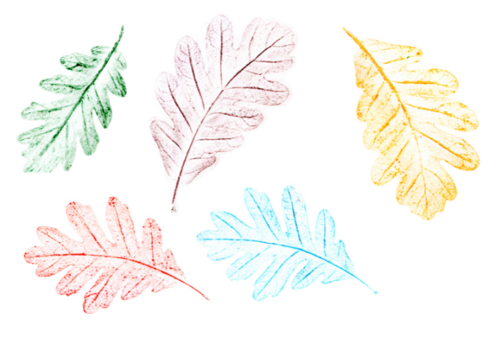 Leaf Crayon Rubbing - Kids activities blog - 5 leaf rubbings shown with crayon colors green, purple, yellow red and blue