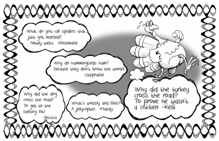 Why did the chicken cross the road joke and more - Kids Activities Blog joke eBook for kids - pdf version of kids joke book with spider jokes, little dog jokes and hummingbird jokes