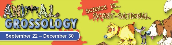 animal_grossology_banner