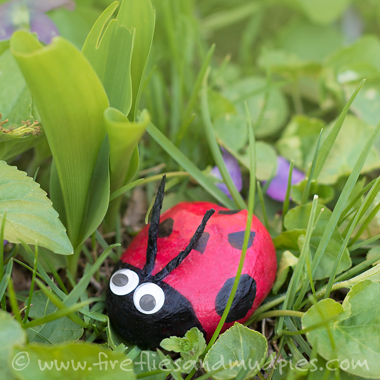 Lady Bug Stones