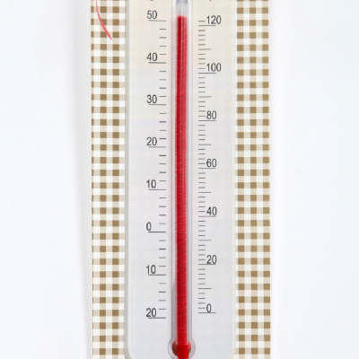 How to Read a Thermometer Free Fun Printable & Practice