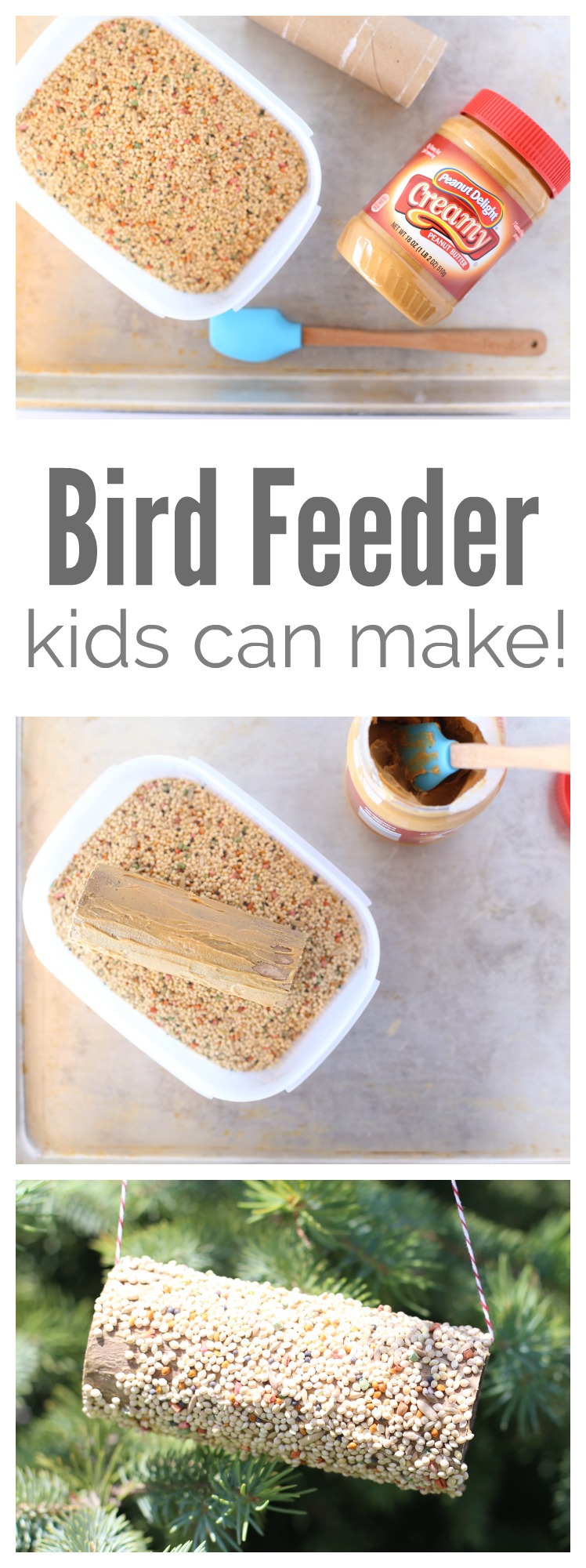 Kids Crafts: DIY Bird Feeder