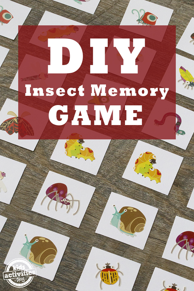 DIY Insect Memory Game