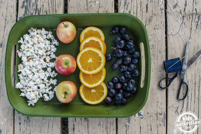 fruit garland string bird feeder