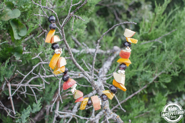 fruit garland string bird feeder