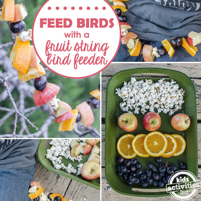 fruit garland string bird feeder